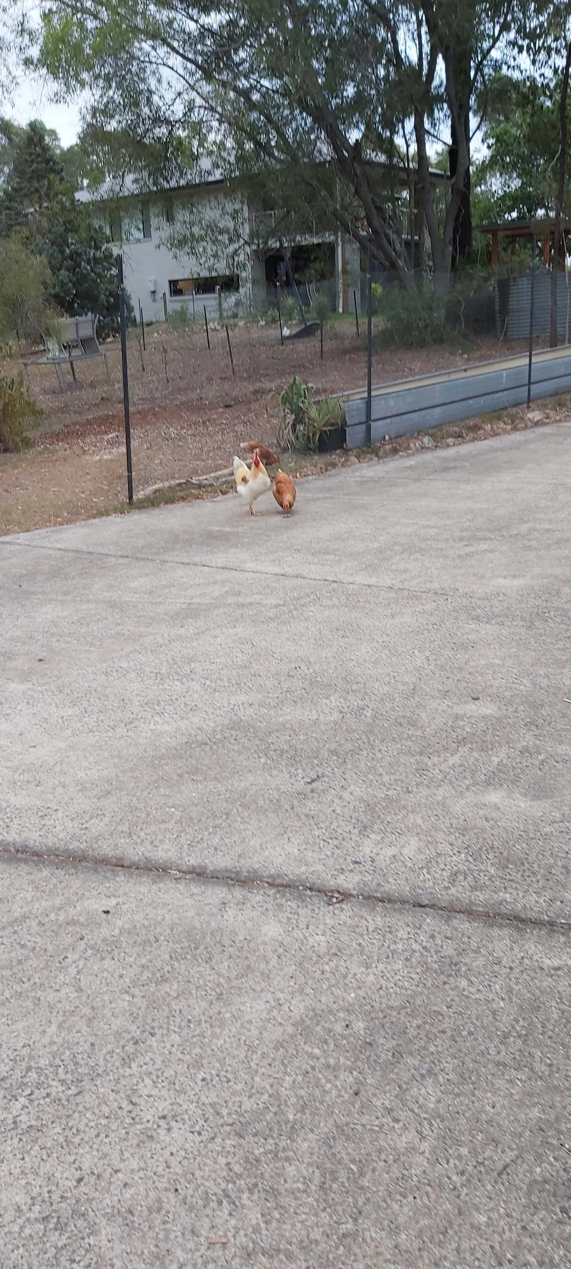 20201203_180710.webp