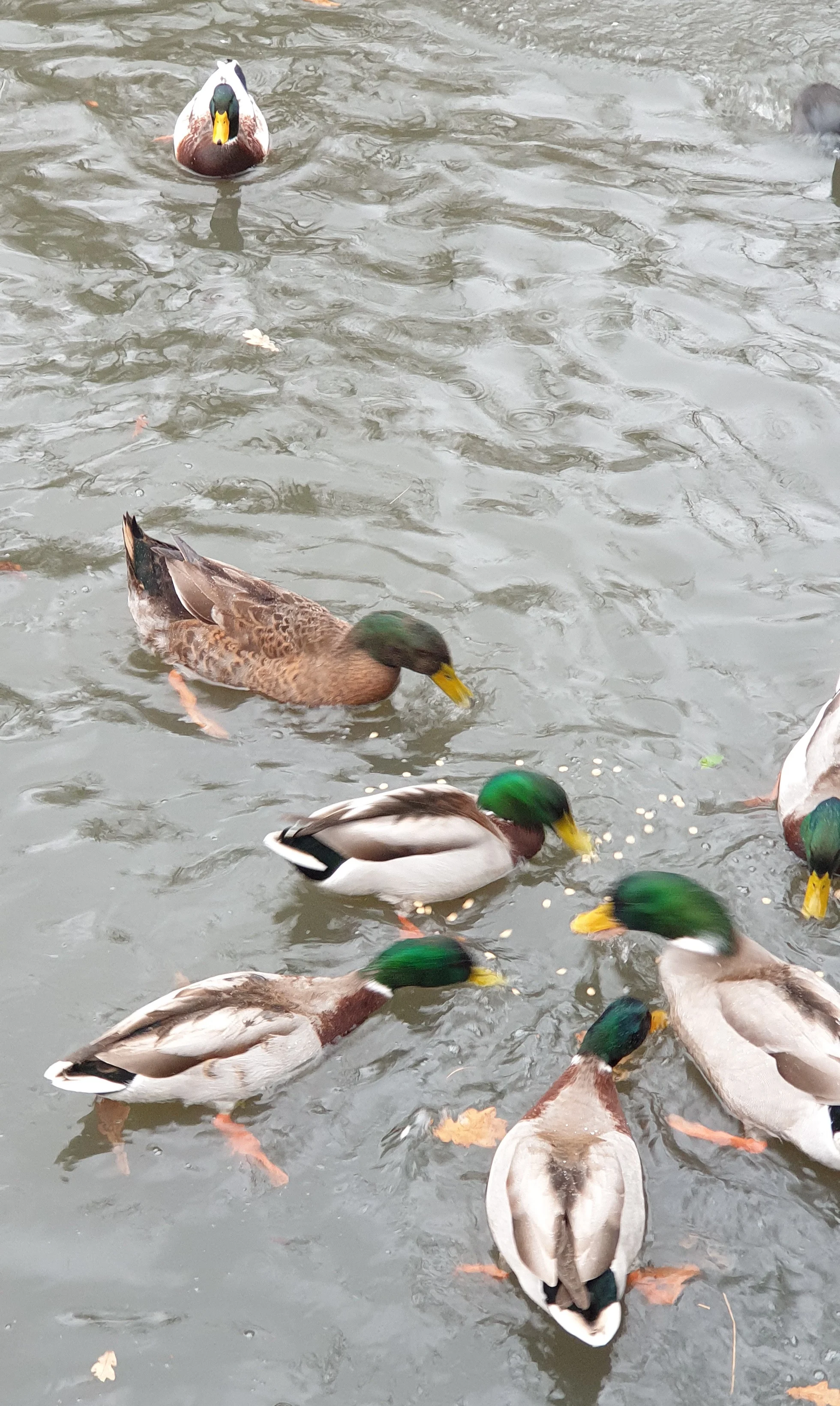 20201204_125943.webp