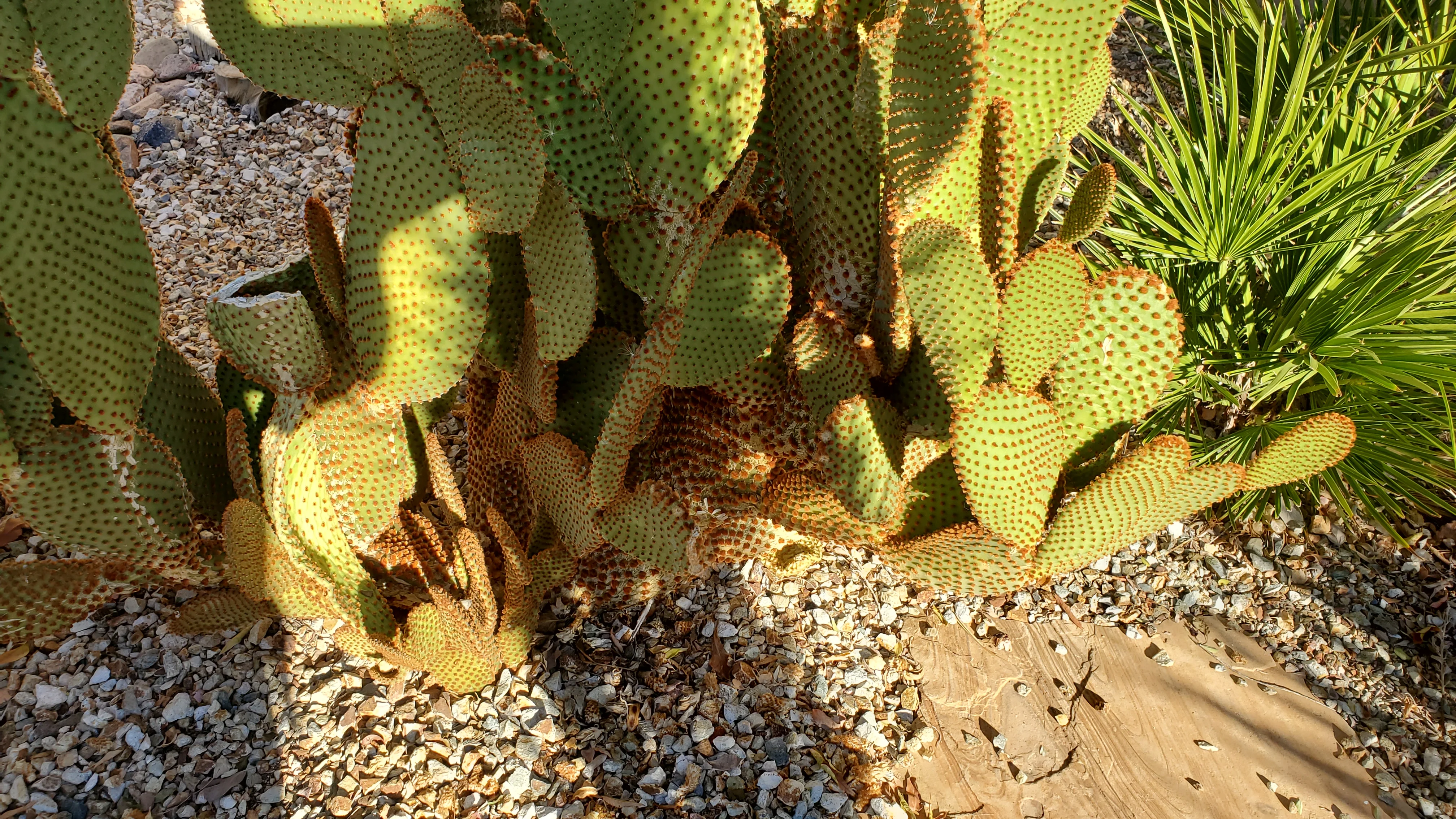 20201215_093218.webp