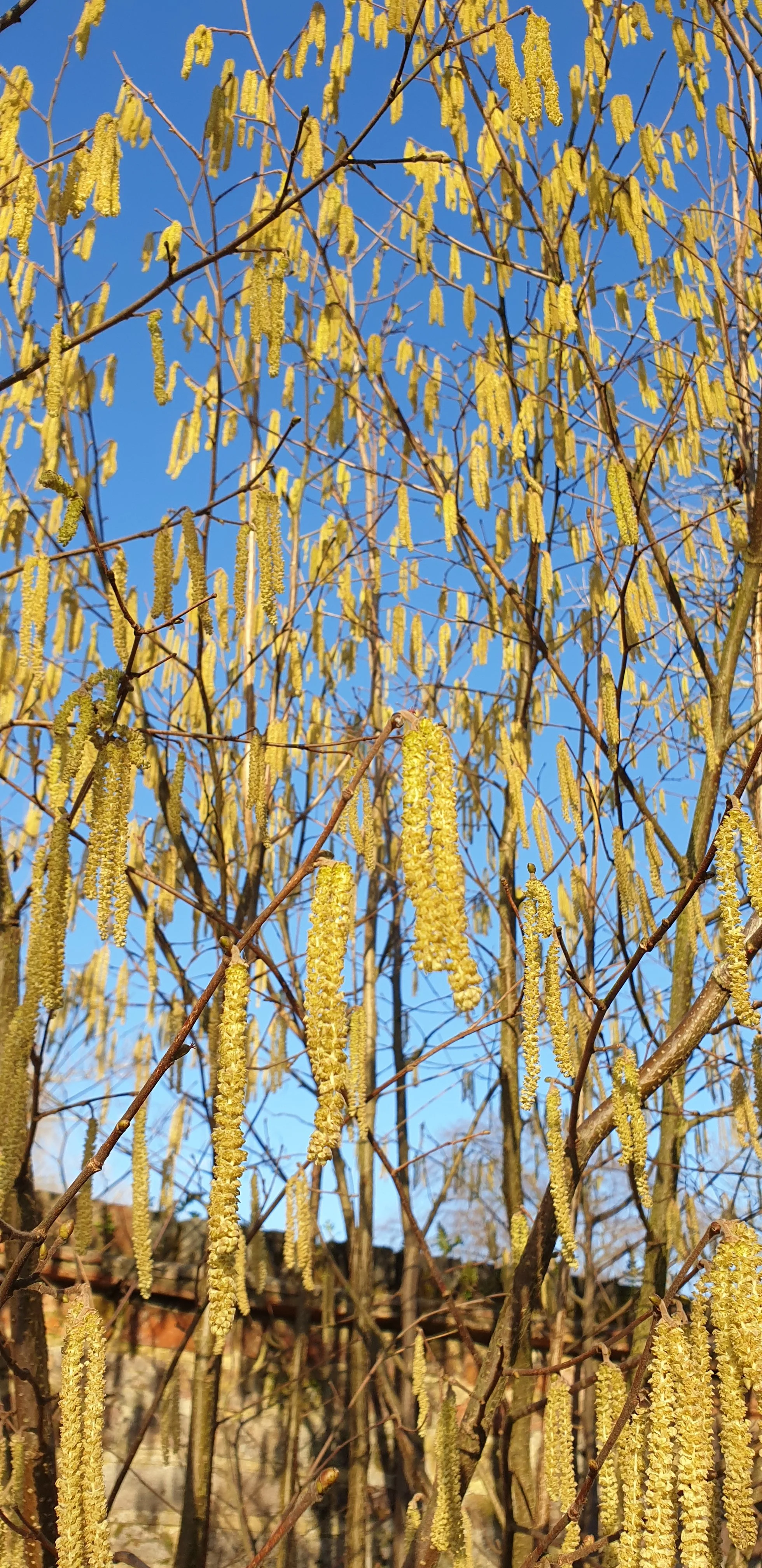 20210226_160126.jpg