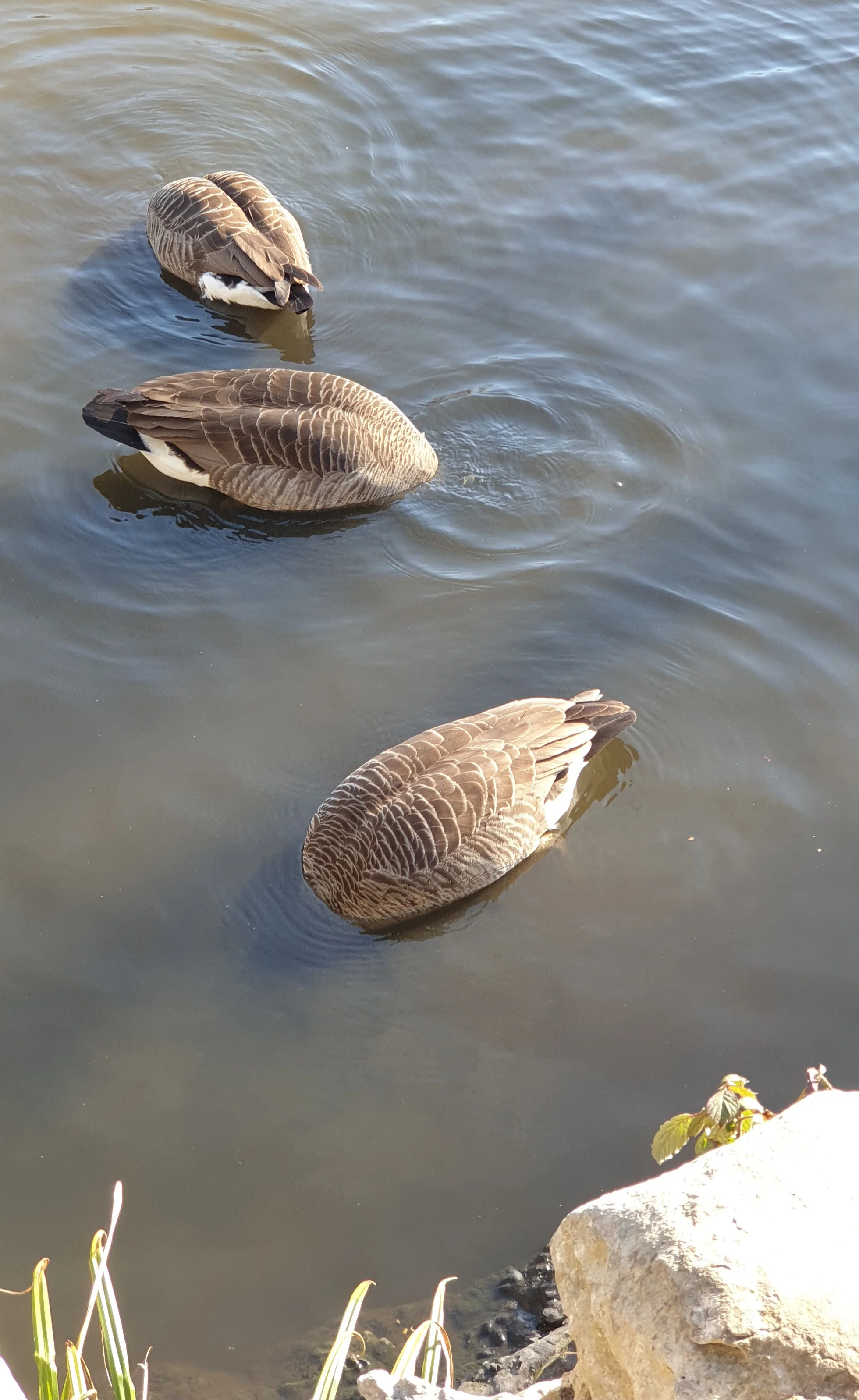 20210309_162157.webp