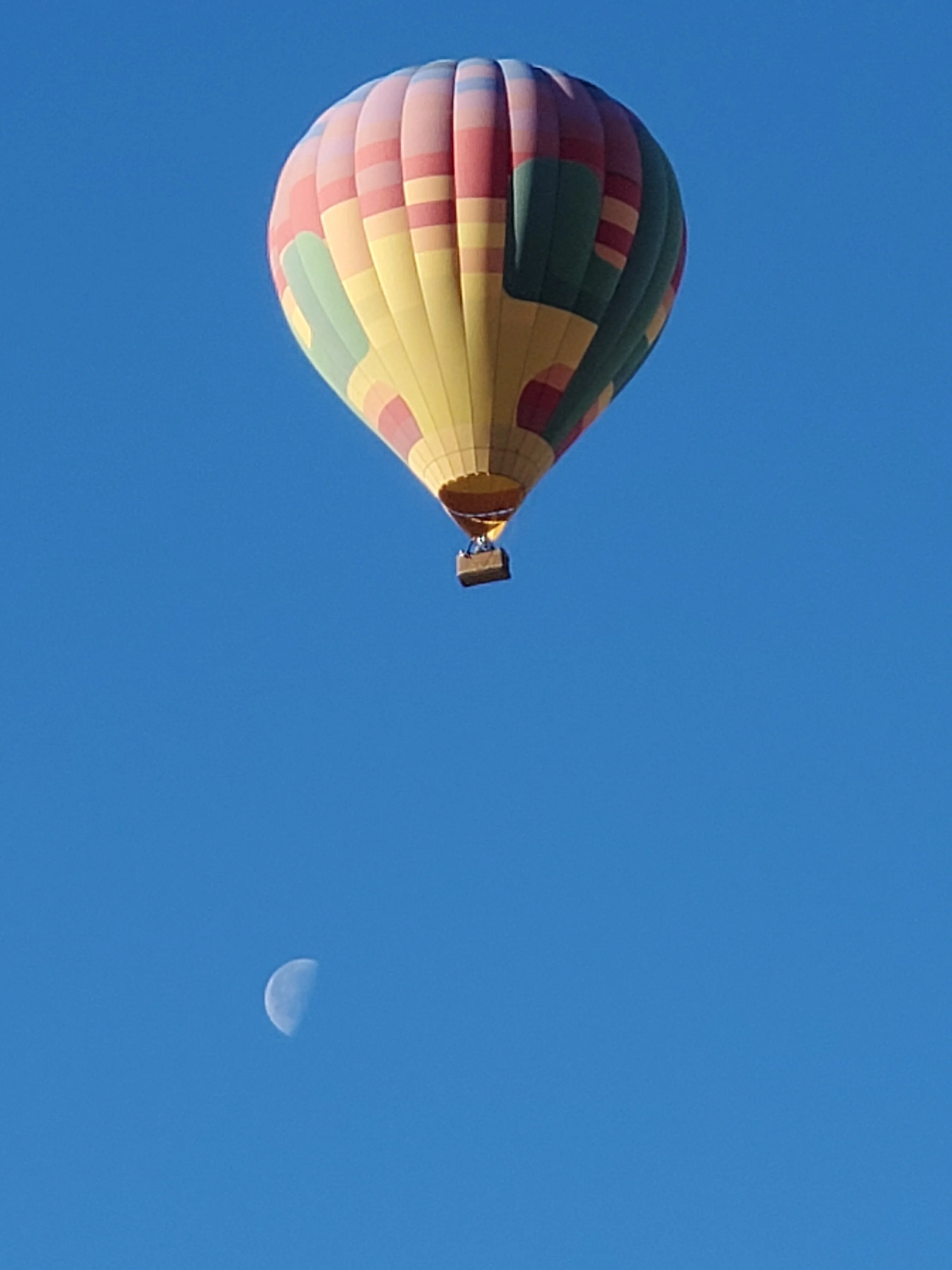 20220324_074009.webp