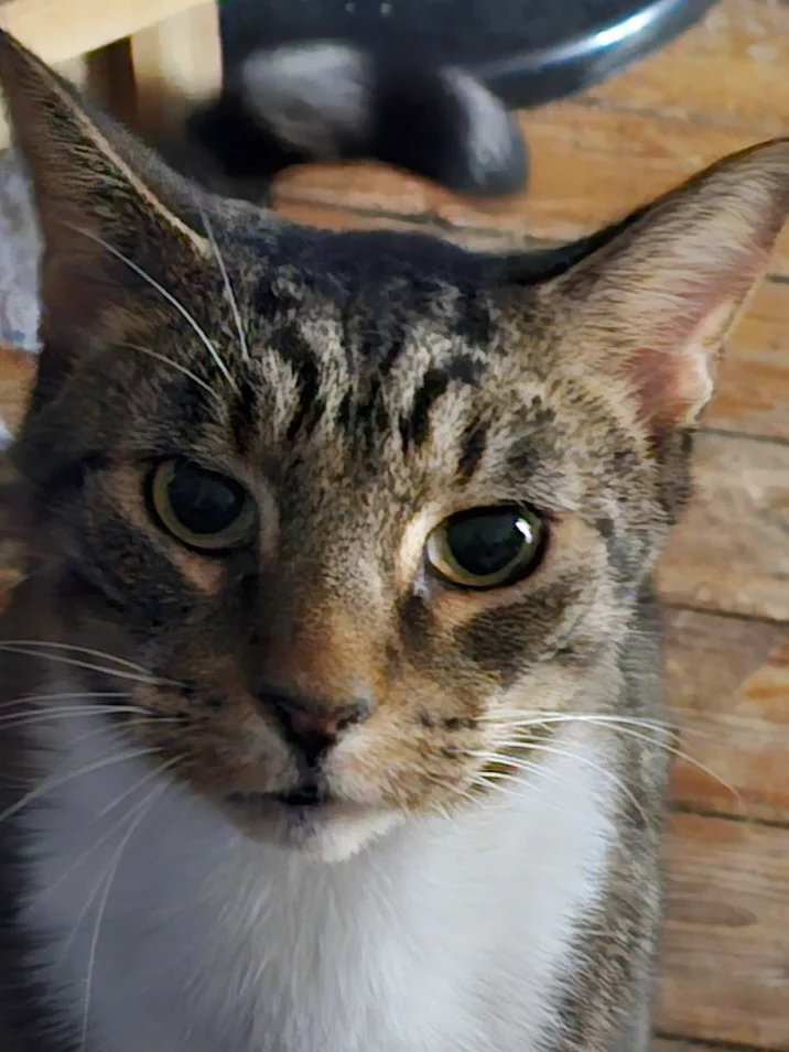 20230816_210339.webp