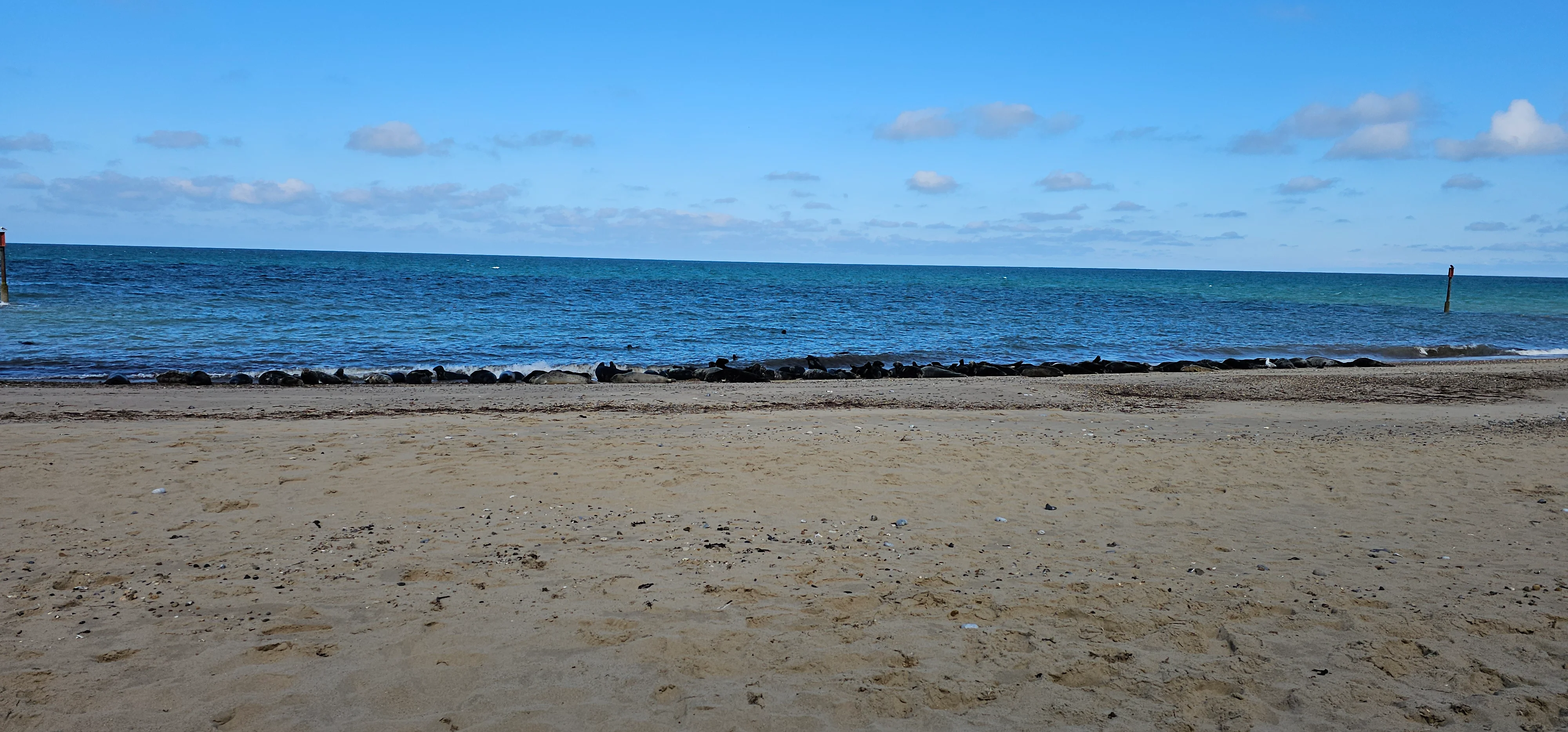 20250716_154121.webp