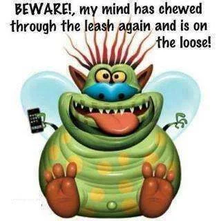 268349_269127039863576_409542421_n.webp