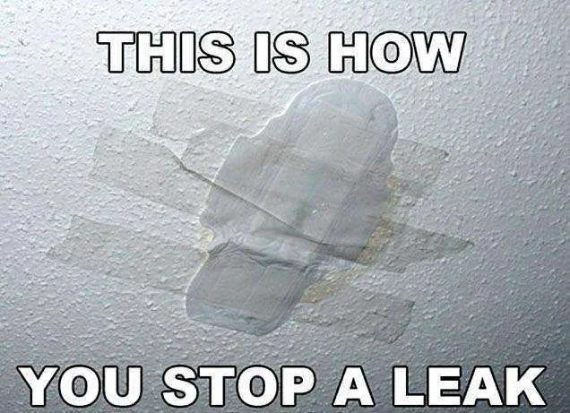 269359_255717384533759_874146238_n.webp