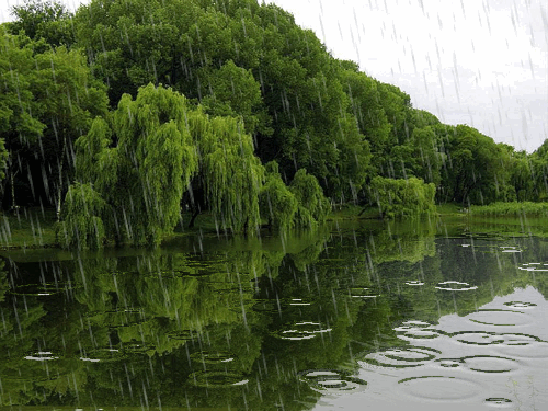 27355468_27011216_22e2415bcbb0.gif