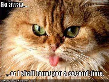 328839255_go_away_taunt_answer_3_xlarge.webp