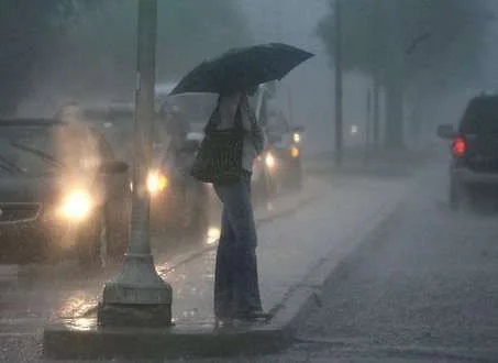 329_large_20rain.webp
