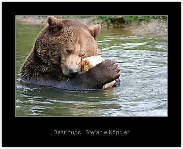 3576451-2-bear-hugs.webp