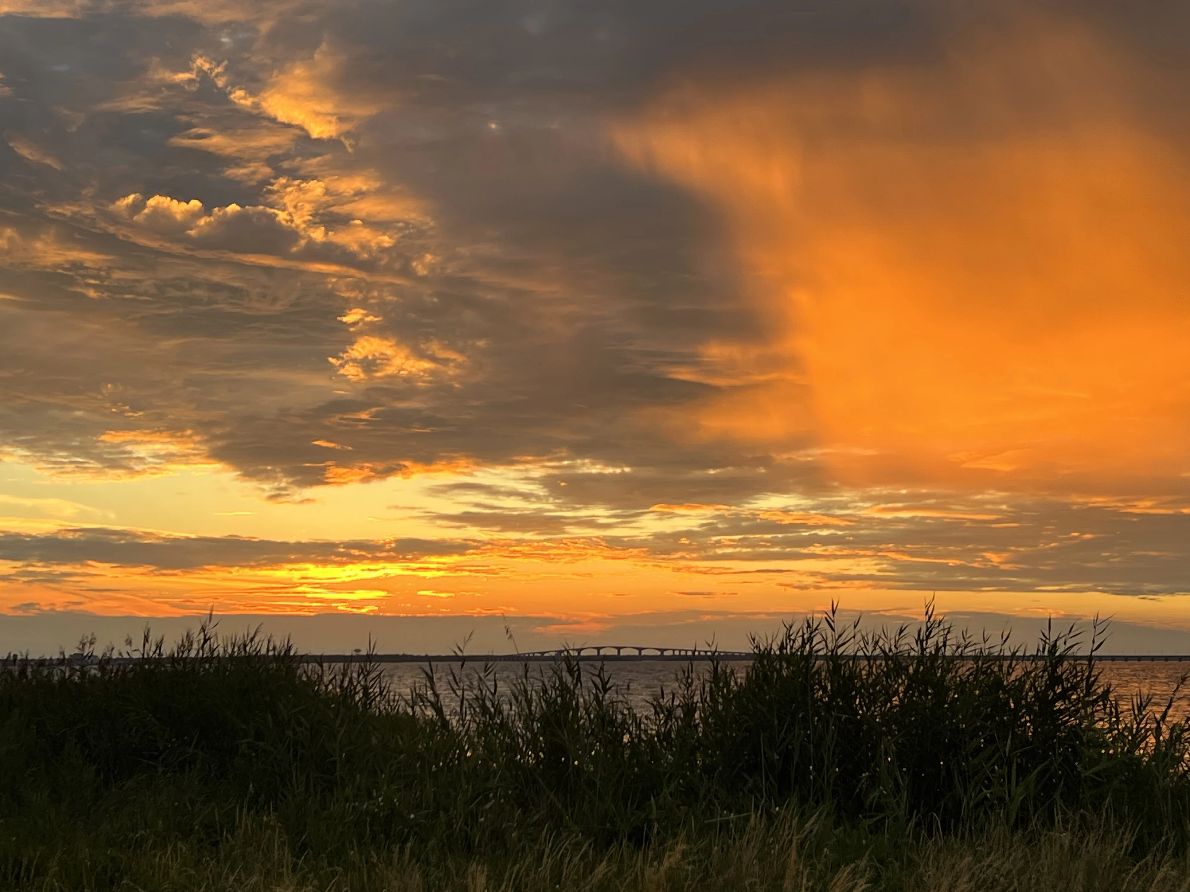 375A5609-8508-44F7-87CE-CAA6BC3653A9.webp
