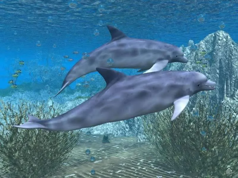 3d-animal-wallpaper-3d-fish-wallpaper_800x600_972.webp
