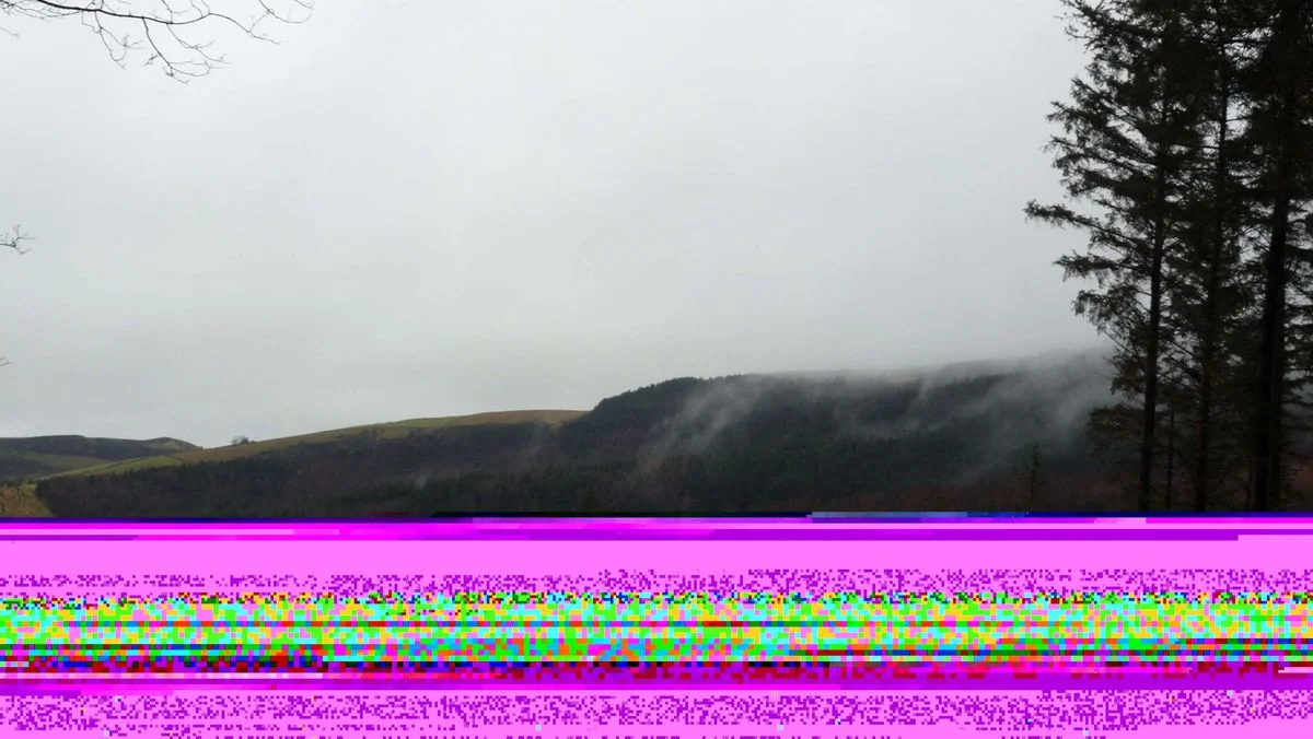 4 Macclesfield Forest.webp
