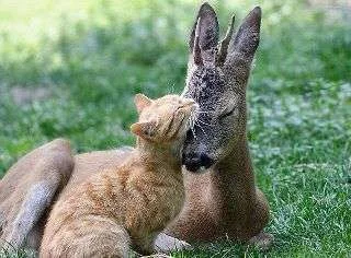 407052_10150484767411997_275733681996_9059571_538897034_n.webp