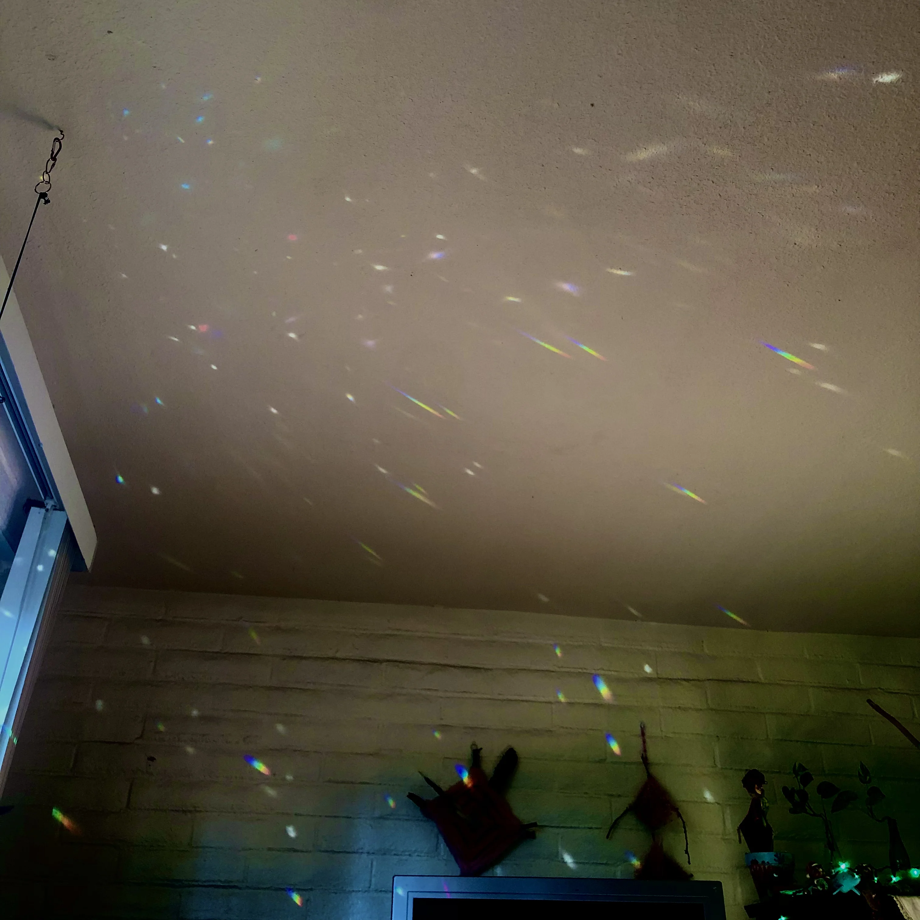 41D32603-6BEC-4AB2-BD01-51FA6A456331.webp