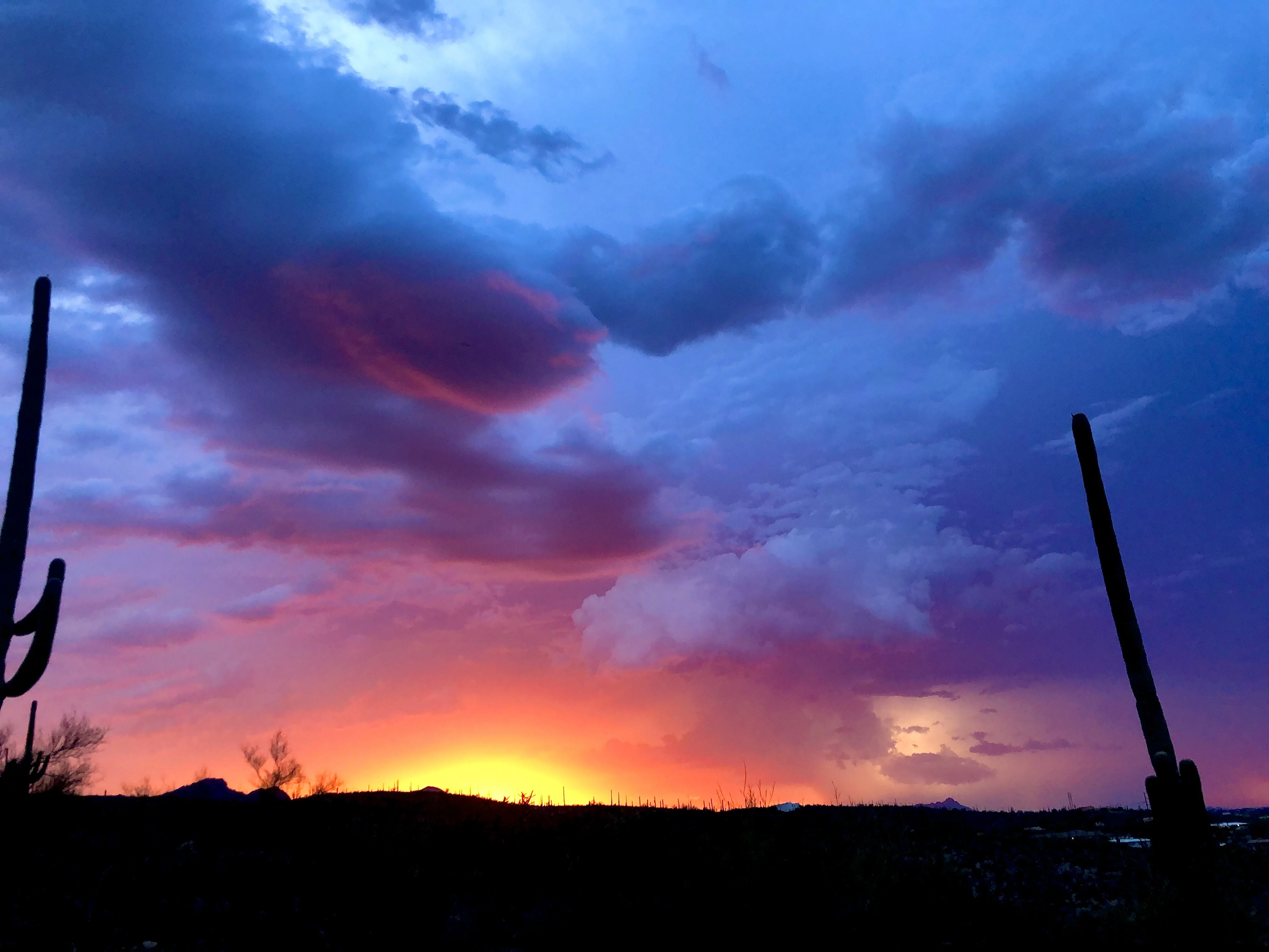43B032F8-07A0-4005-BD15-2F29302801FE.webp