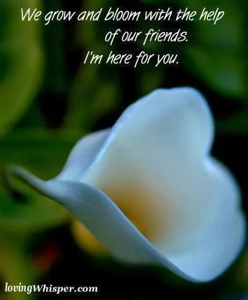 48196-im-here-for-you.webp