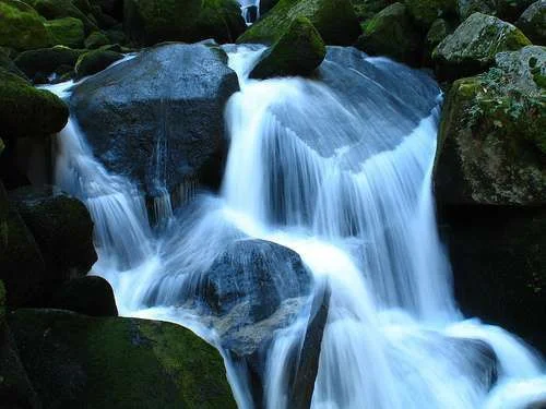 485400809_c22a610b21.webp