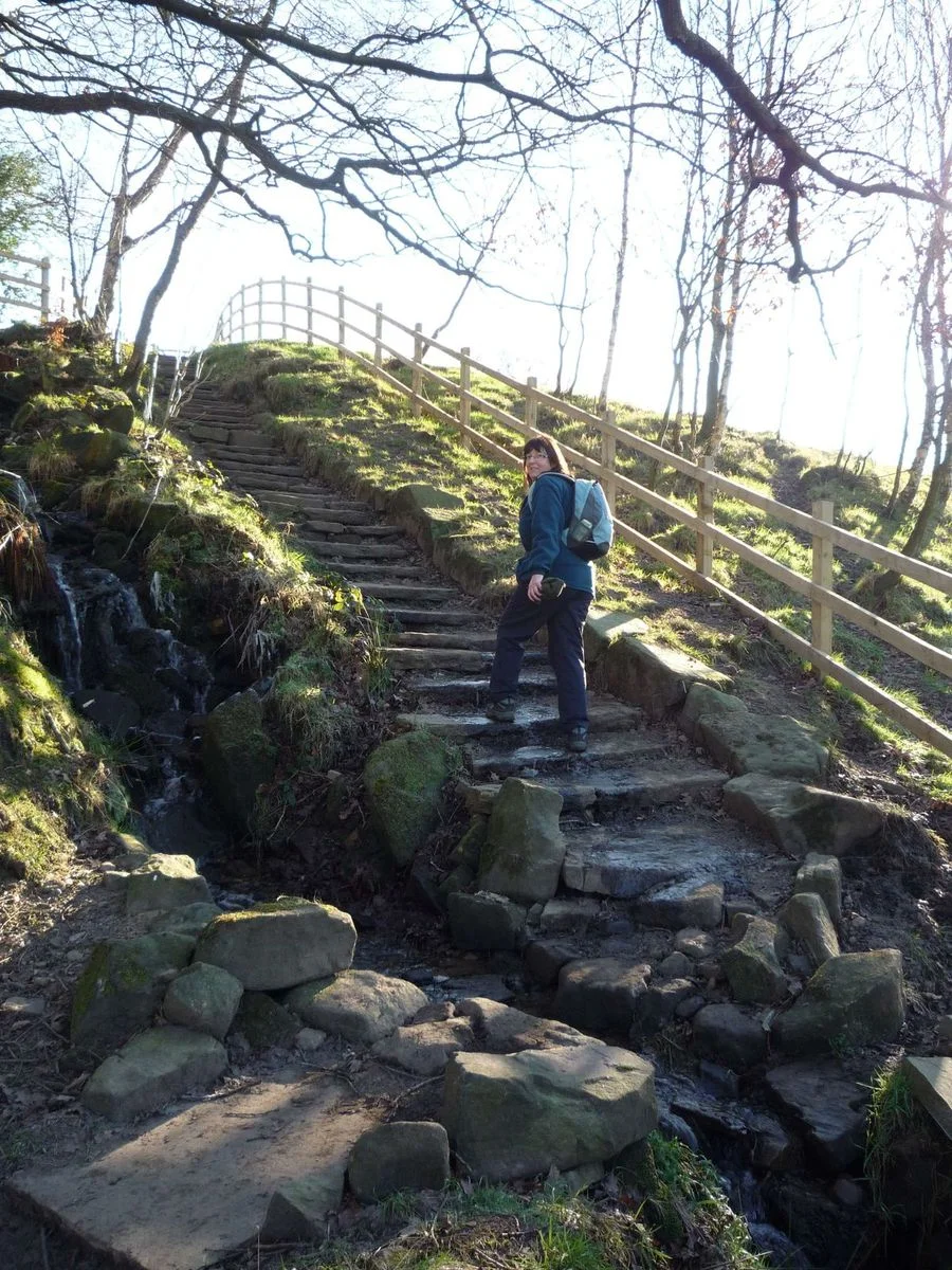 50  Path Yarrow to Rivington.webp
