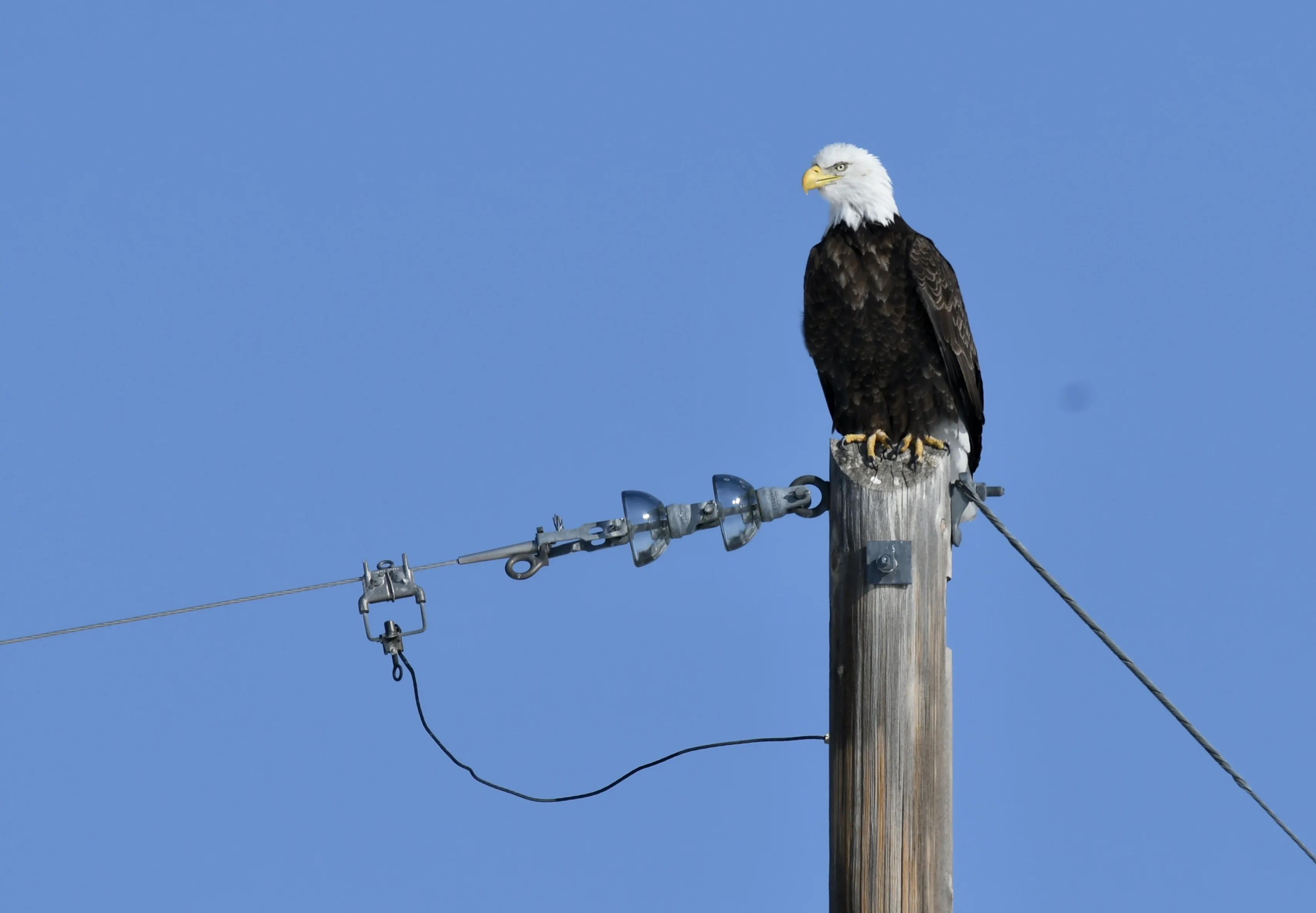 51904099-A9FA-4A56-94FD-079F497E41BD.webp