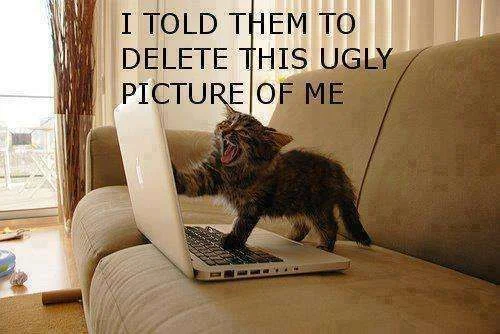 529463_500917239921876_525714825_n.webp