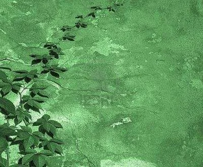 537270-green-floral-background.webp
