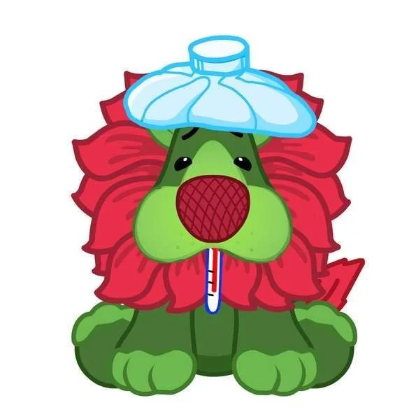 585px-Poinsettia_Lion_Sick.webp