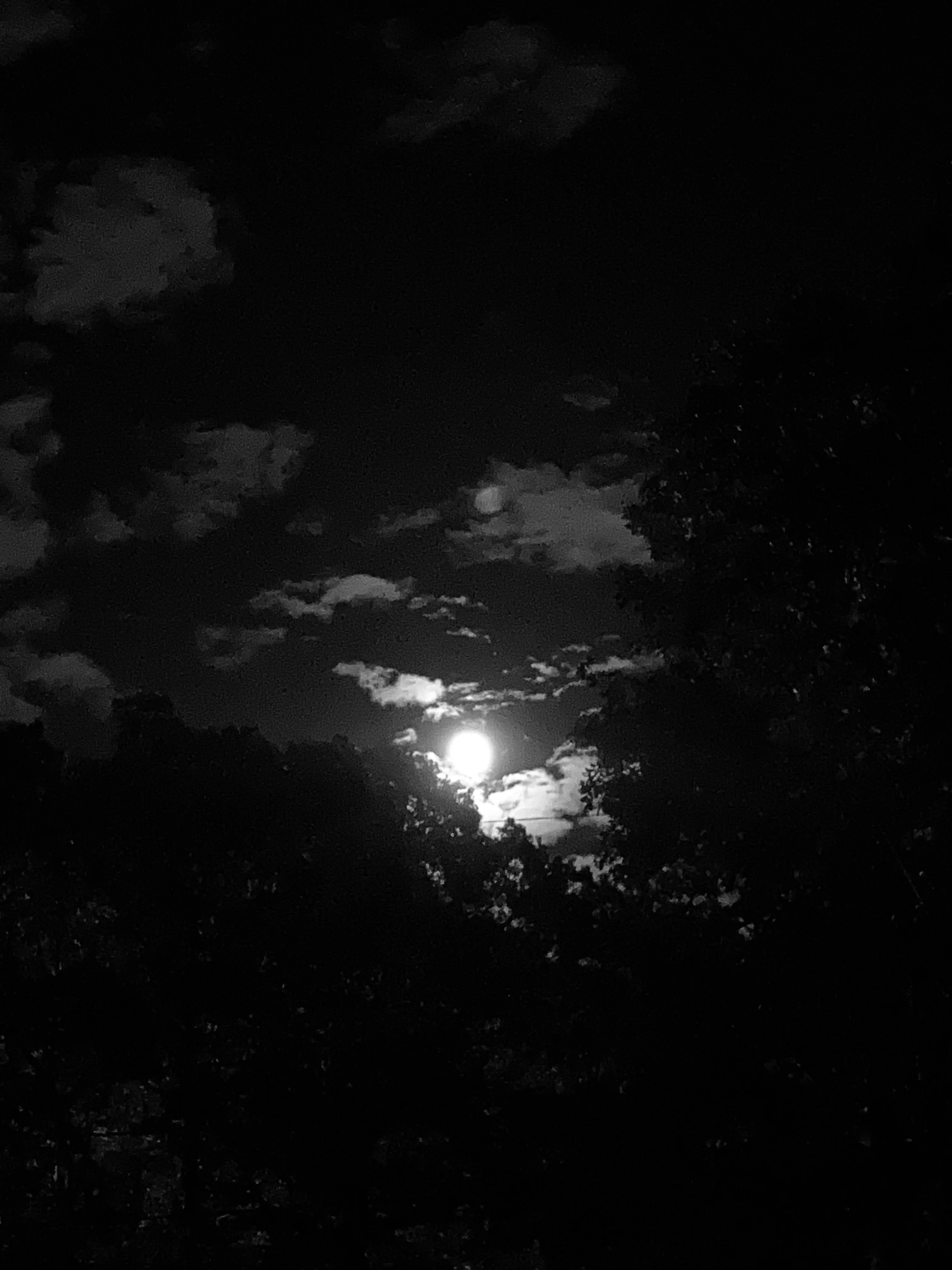 679717C8-8FD4-465C-AF35-B688F6BC91AA.jpeg
