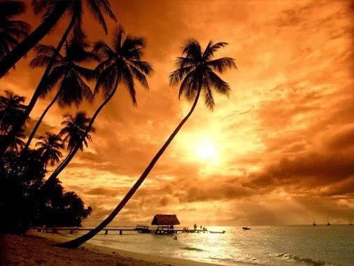 6_7_just_relax.webp