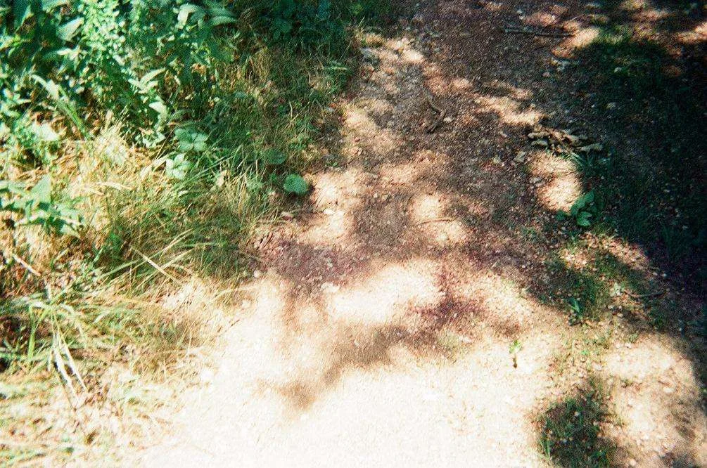 70170007.webp