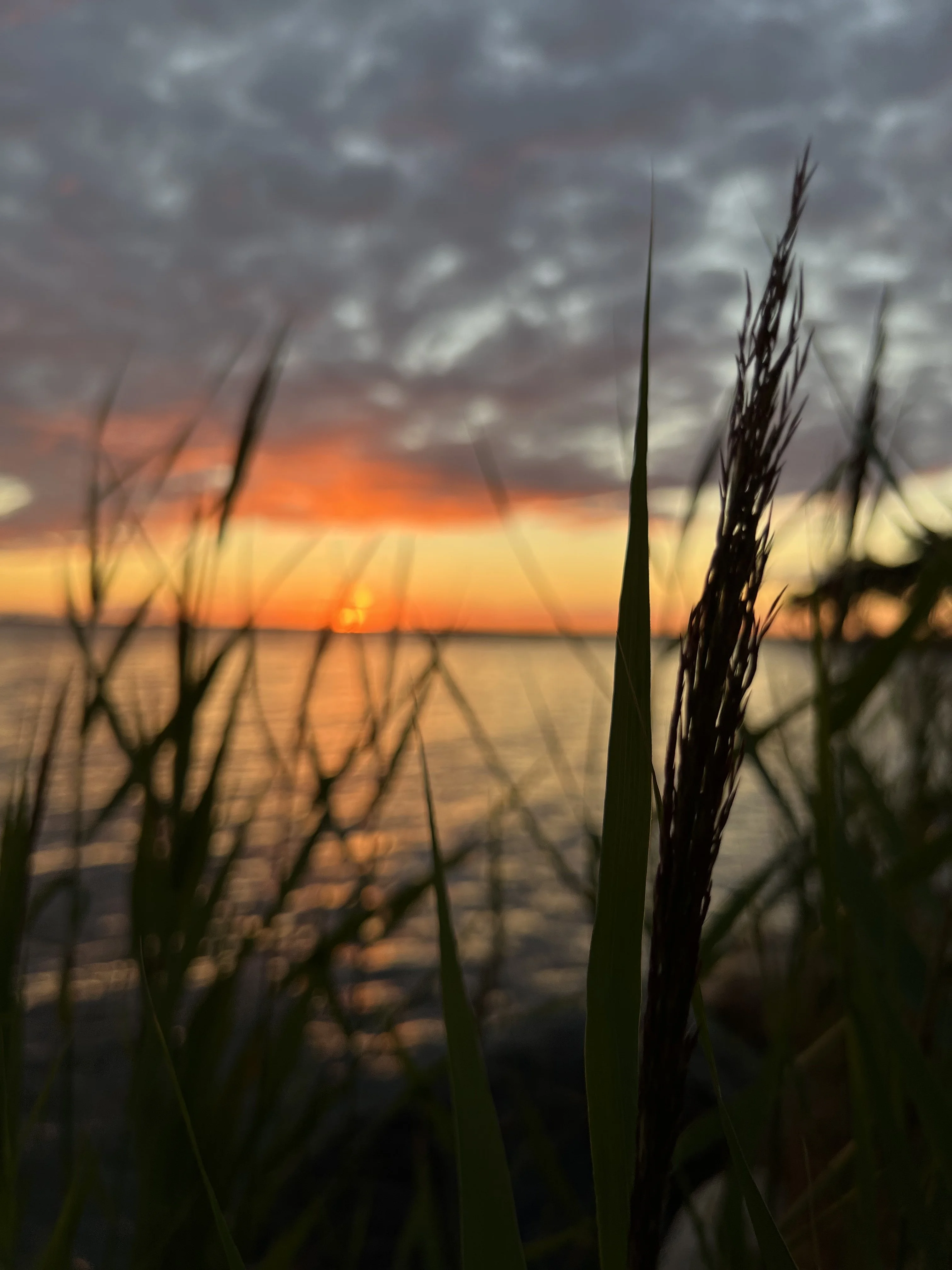 7124D04E-8402-4964-B01E-08DBDC027FCD.webp