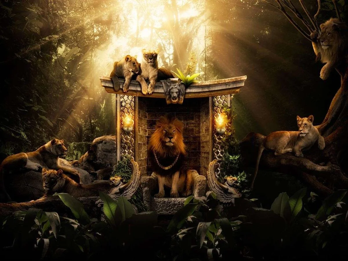 7472-lions-home.webp