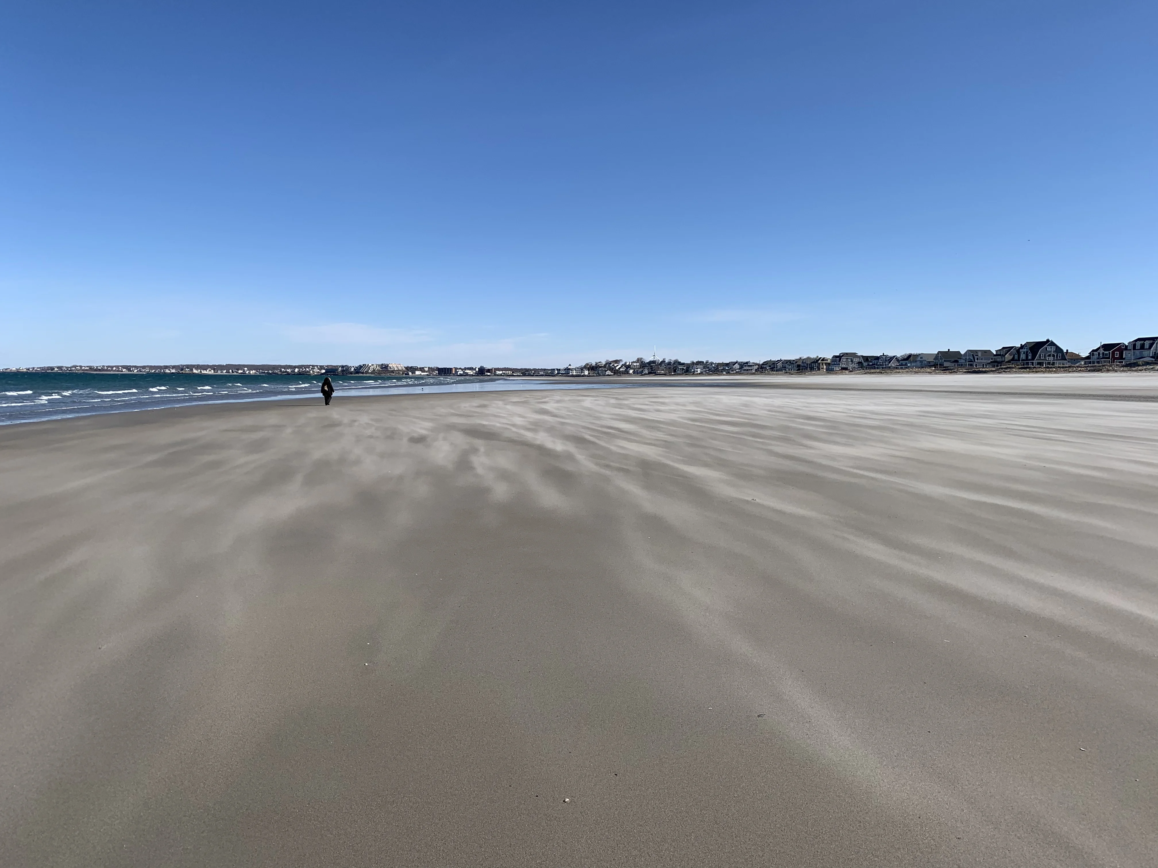 780B52C8-2119-41F2-8125-FFD0077114A3.webp
