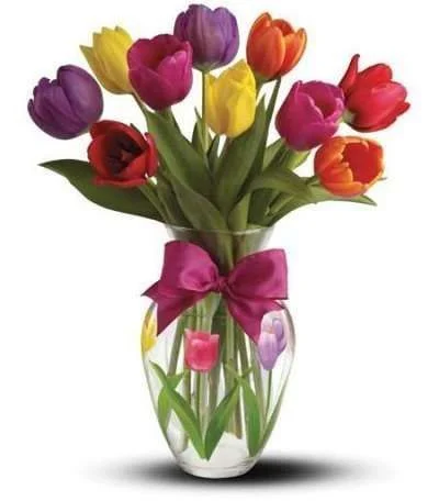 84808d891c1e9d720163f7198a491a45.image_.400x456.webp