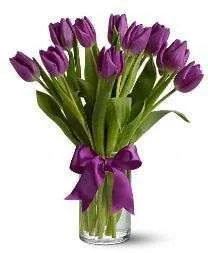 86213.webp
