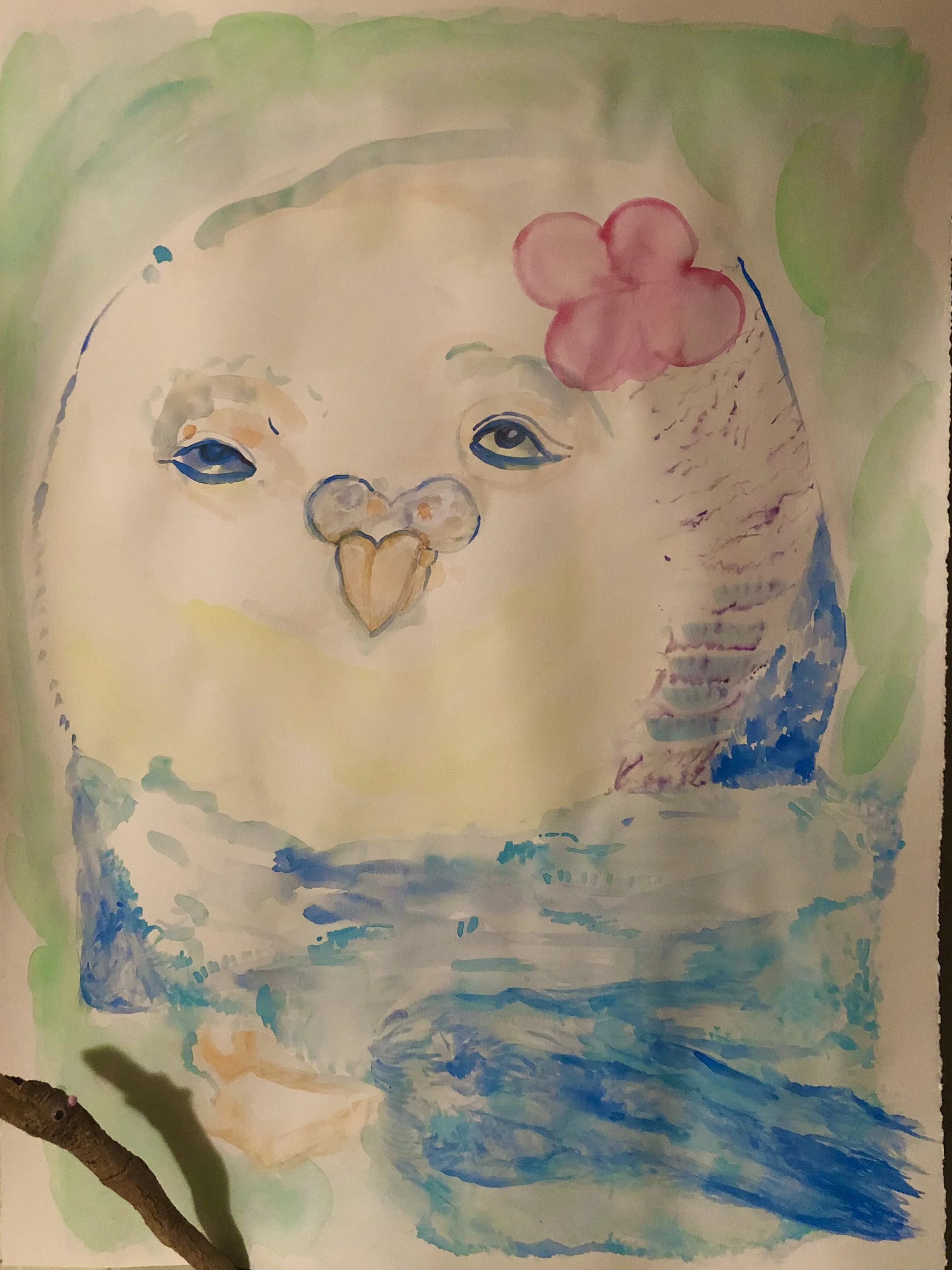 8FC6CC9C-246D-42FC-B99B-4B727642656E.jpeg