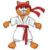 9390273-cartoon-cat-in-karate-outfit-isolated-on-white.webp