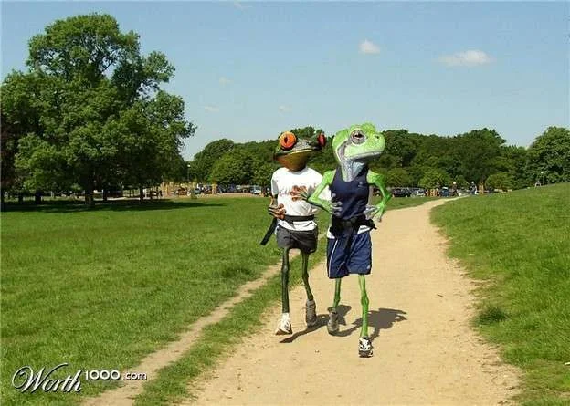 991889_5e50_625x1000.webp
