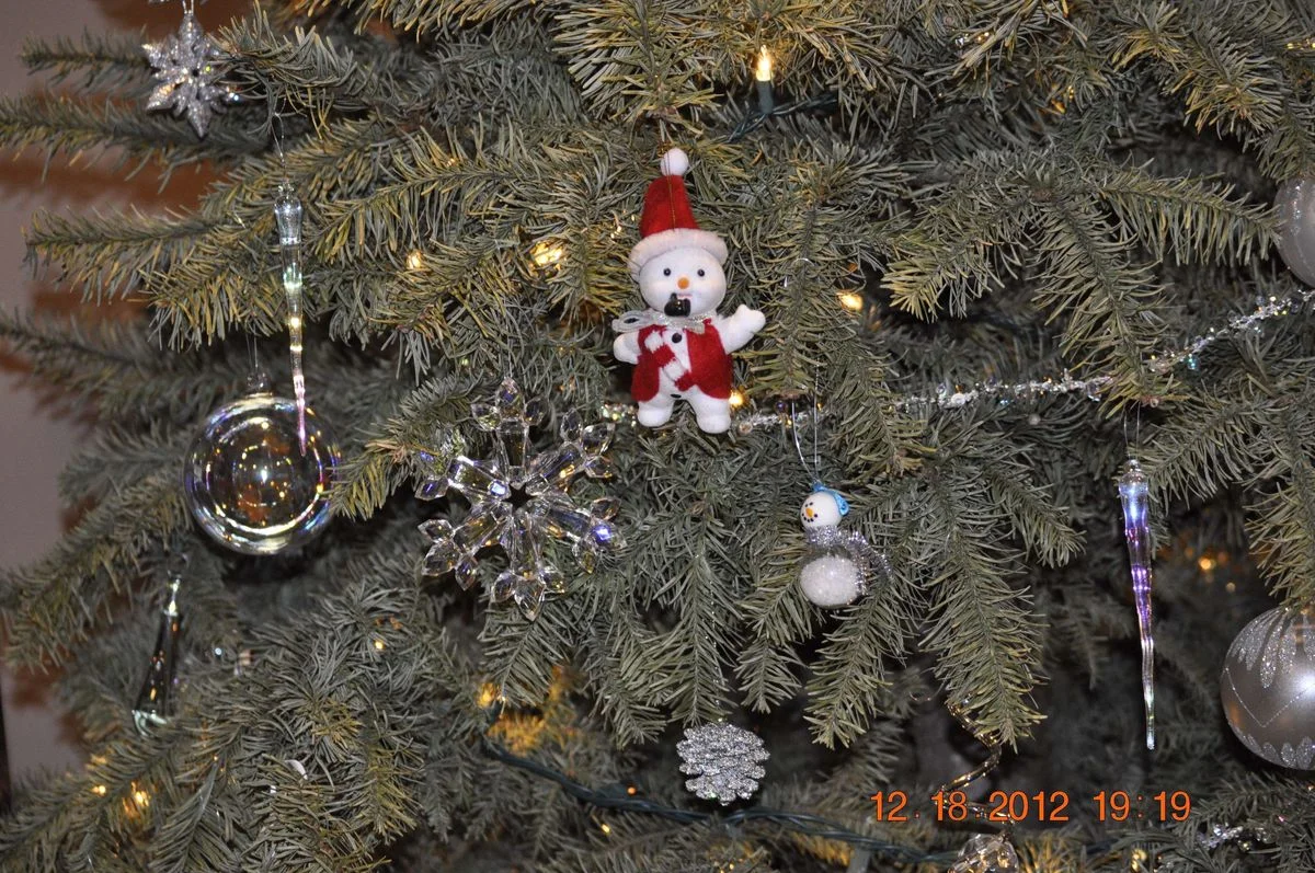 _DSC0072.webp