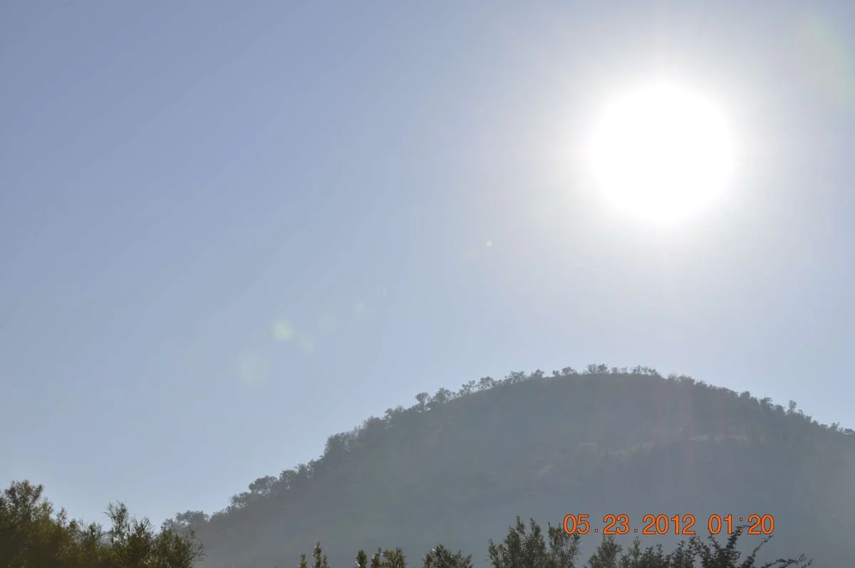 _DSC0544.webp
