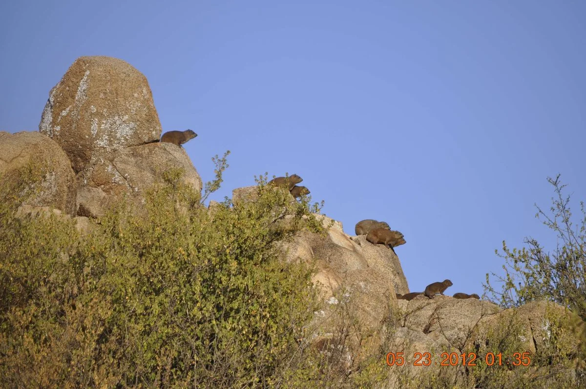 _DSC0578.webp