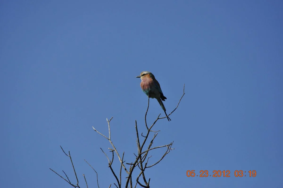 _DSC0745.webp