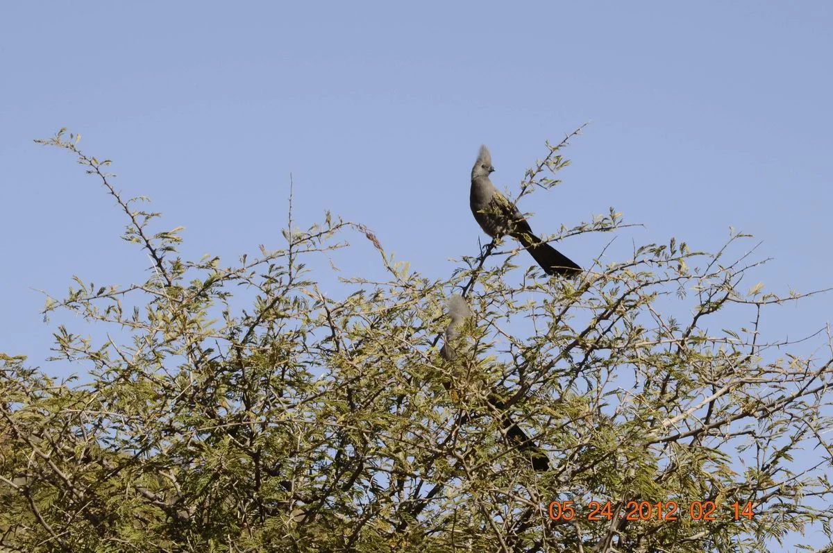 _DSC0883.webp
