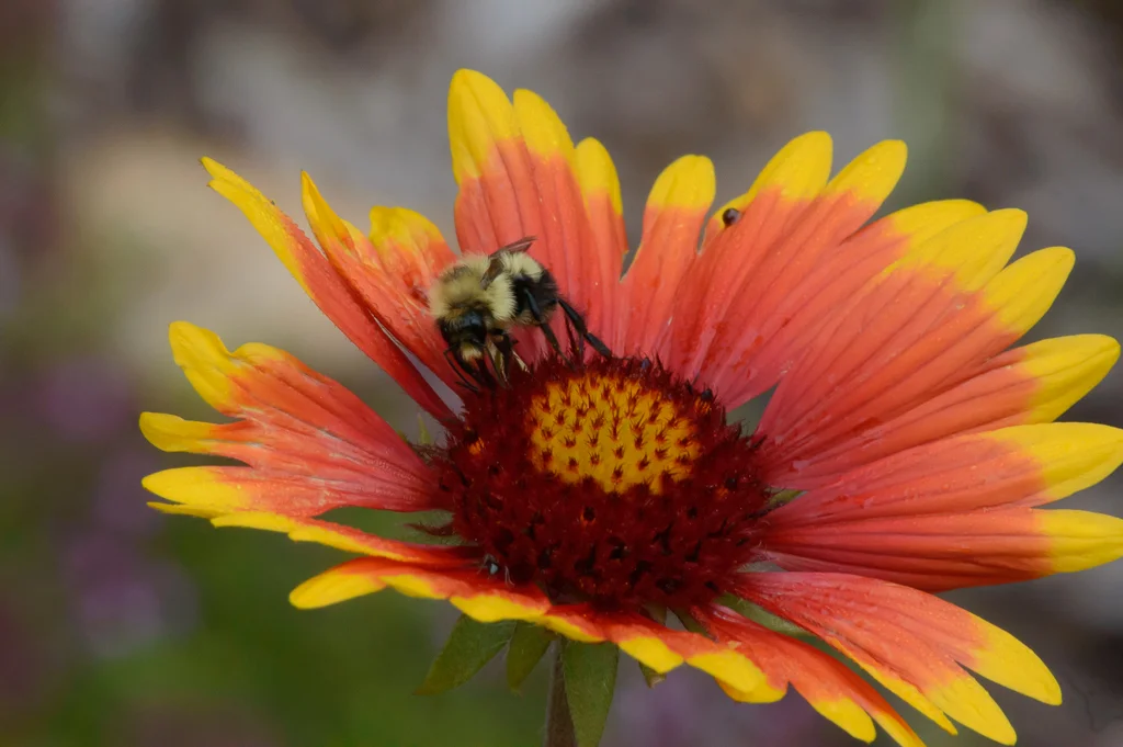 _DSC4253.webp