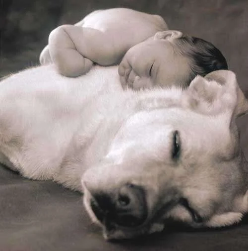 a cute picture for you.webp