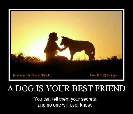 A dog is your best friend.webp