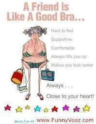 a good friend is like a bra.webp