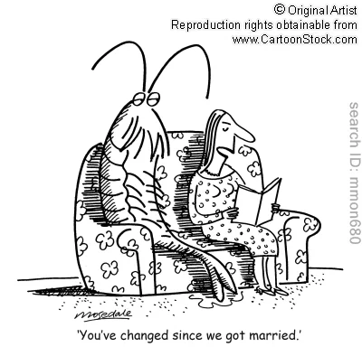 a-husband-wife-cartoon.webp