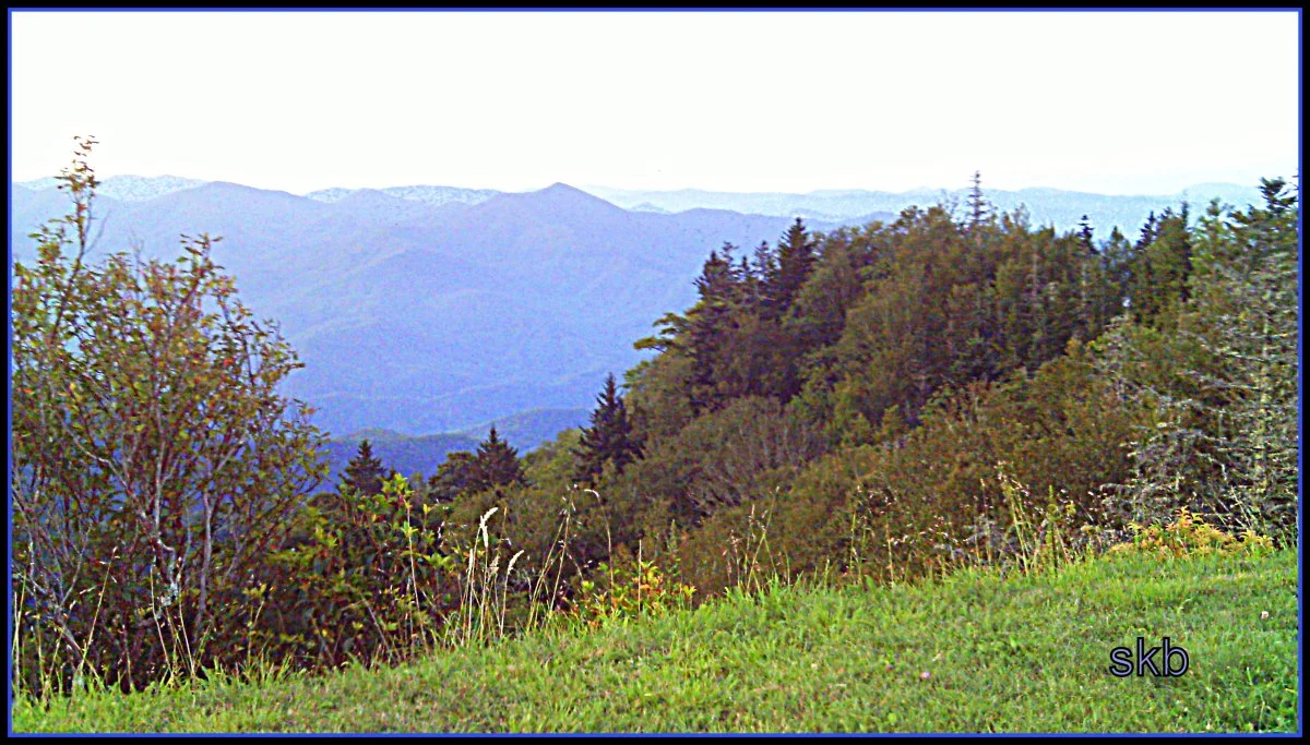 Above the Blue Mountains.webp