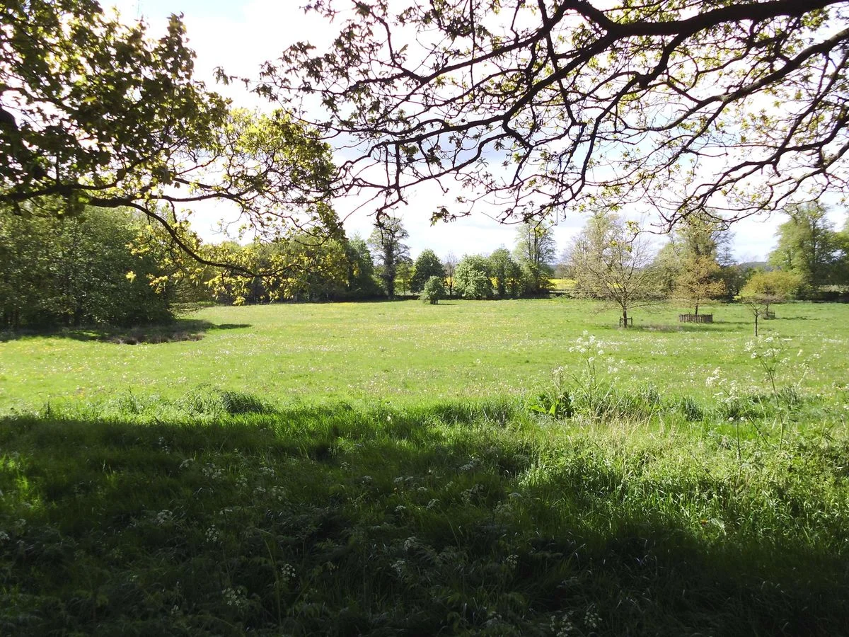 Across the fields 2.webp
